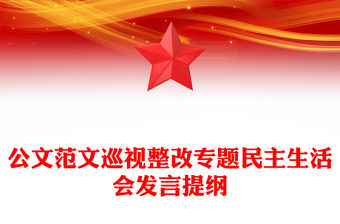 公文范文巡視整改專題民主生活會發言提綱