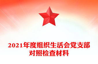 2021年度組織生活會黨支部對照檢查材料