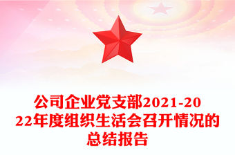 公司企業黨支部2021-2022年度組織生活會召開情況的總結報告