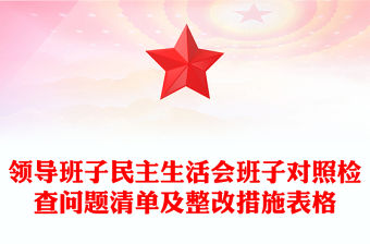 領導班子民主生活會班子對照檢查問題清單及整改措施表格