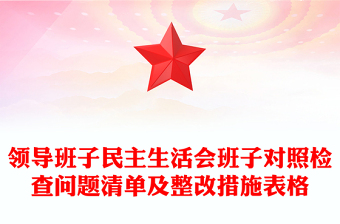 領(lǐng)導(dǎo)班子民主生活會(huì)班子對(duì)照檢查問(wèn)題清單及整改措施表格