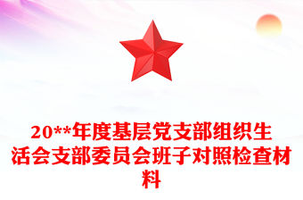 20**年度基層黨支部組織生活會支部委員會班子對照檢查材料