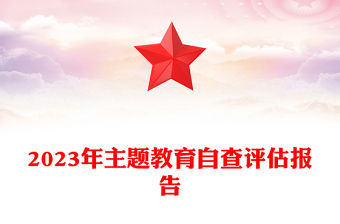 2023年主題教育自查評估報告