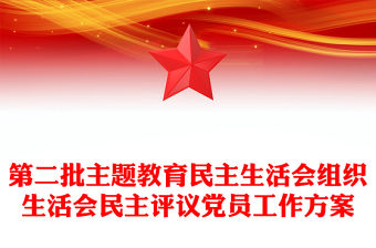 第二批主題教育民主生活會組織生活會民主評議黨員工作方案