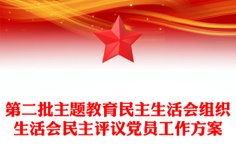 第二批主題教育民主生活會(huì)組織生活會(huì)民主評(píng)議黨員工作方案
