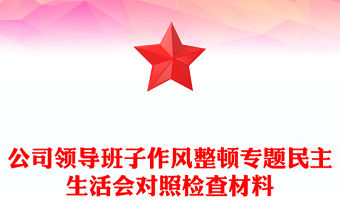 公司領(lǐng)導(dǎo)班子作風(fēng)整頓專題民主生活會(huì)對(duì)照檢查材料