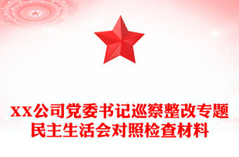 XX公司黨委書記巡察整改專題民主生活會對照檢查材料