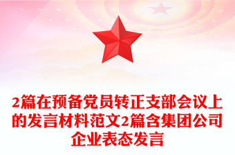 2篇在預備黨員轉正支部會議上的發言材料范文2篇含集團公司企業表態發言