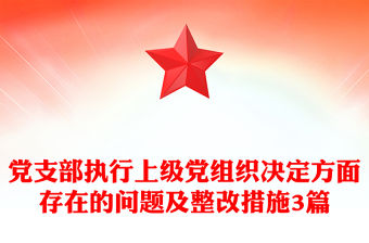 黨支部執(zhí)行上級(jí)黨組織決定方面存在的問題及整改措施3篇