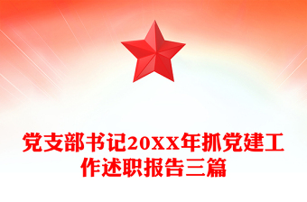 黨支部書記20XX年抓黨建工作述職報告三篇
