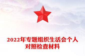 2022年專題組織生活會個人對照檢查材料