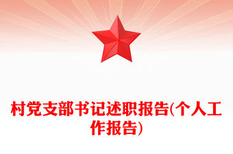 村黨支部書記述職報告(個人工作報告)