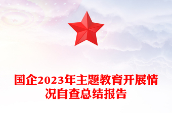 國企2023年主題教育開展情況自查總結(jié)報告PPT模板(講稿)