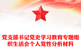 黨支部書記黨史學(xué)習(xí)教育專題組織生活會(huì)個(gè)人黨性分析材料