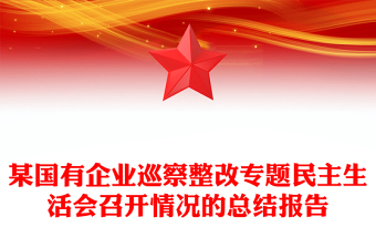 某國(guó)有企業(yè)巡察整改專題民主生活會(huì)召開(kāi)情況的總結(jié)報(bào)告