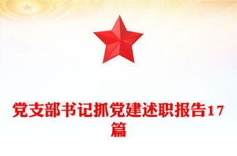 黨支部書記抓黨建述職報告17篇