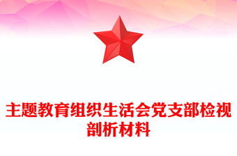 主題教育組織生活會黨支部檢視剖析材料