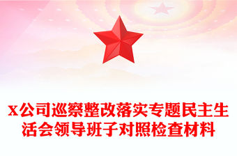 X公司巡察整改落實專題民主生活會領導班子對照檢查材料