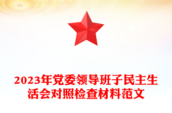 2023年黨委領(lǐng)導(dǎo)班子民主生活會(huì)對(duì)照檢查材料范文