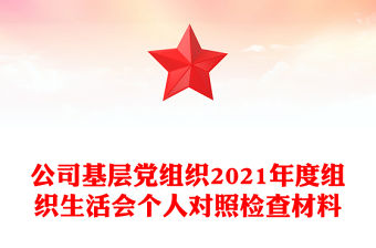 公司基層黨組織2021年度組織生活會個人對照檢查材料