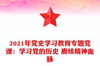 2021年黨史學(xué)習(xí)教育專題黨課：學(xué)習(xí)黨的歷史 賡續(xù)精神血脈