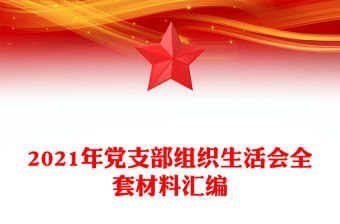 2021年黨支部組織生活會全套材料匯編