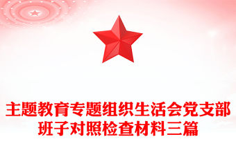 主題教育專題組織生活會黨支部班子對照檢查材料三篇