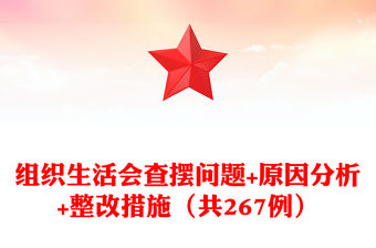 組織生活會查擺問題+原因分析+整改措施（共267例）