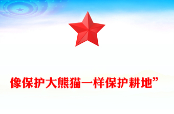 2023對待土地猶如對待國寶熊貓ppt大氣簡潔耕地是保障國家糧食安全的根本黨組織專題教育黨課課件(講稿)