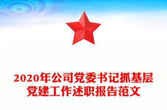 2020年公司黨委書記抓基層黨建工作述職報告范文