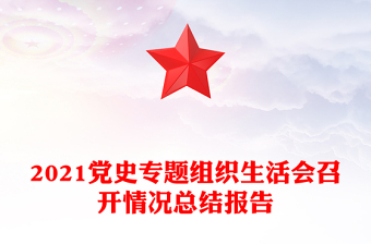 2021黨史專題組織生活會召開情況總結(jié)報告