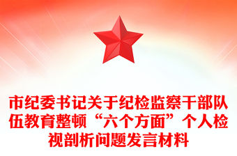 市紀(jì)委書記關(guān)于紀(jì)檢監(jiān)察干部隊(duì)伍教育整頓“六個(gè)方面”個(gè)人檢視剖析問題發(fā)言材料