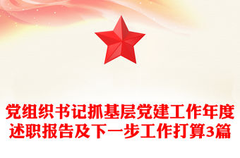 黨組織書記抓基層黨建工作年度述職報告及下一步工作打算3篇