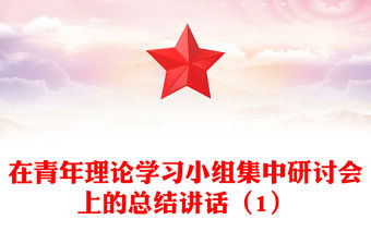 在青年理論學習小組集中研討會上的總結講話（1）