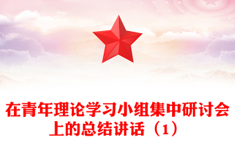 在青年理論學(xué)習(xí)小組集中研討會(huì)上的總結(jié)講話（1）