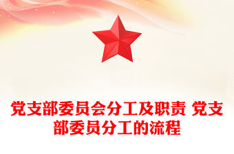 黨支部委員會分工及職責 黨支部委員分工的流程
