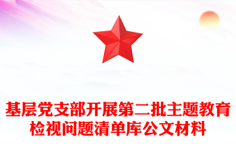 基層黨支部開展第二批主題教育檢視問題清單庫公文材料