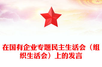 在國有企業專題民主生活會（組織生活會）上的發言