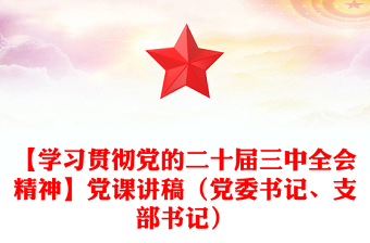 【學(xué)習(xí)貫徹黨的二十屆三中全會(huì)精神】黨課稿子（黨委書記、支部書記）