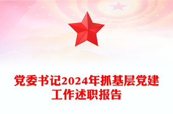 黨委書記2024年抓基層黨建工作述職報告范文