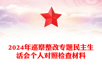 2024年巡察整改專題民主生活會個人對照檢查材料下載