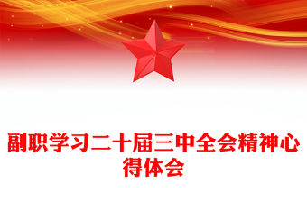 副職學習二十屆三中全會精神心得體會范文