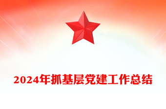 2024年抓基層黨建工作總結(jié)范文