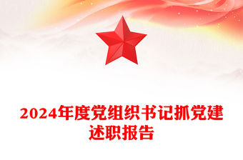 2024年度黨組織書記抓黨建述職報告范文