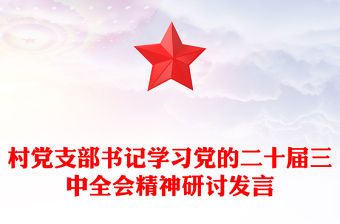 村黨支部書記學習黨的二十屆三中全會精神研討發言范文