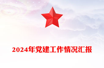 2024年黨建工作情況匯報范文