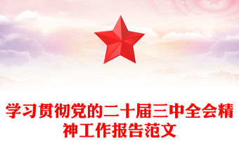 學習貫徹黨的二十屆三中全會精神工作報告精選范文