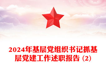 2024年基層黨組織書記抓基層黨建工作述職報告范文 (2)