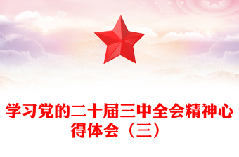 學(xué)習(xí)黨的二十屆三中全會(huì)精神心得體會(huì)（三）范文