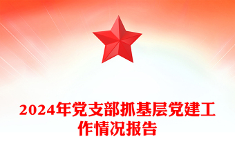 2024年黨支部抓基層黨建工作情況報告范文
